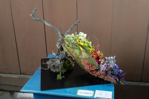 2024年花心論出展作品 『スイミーのように』