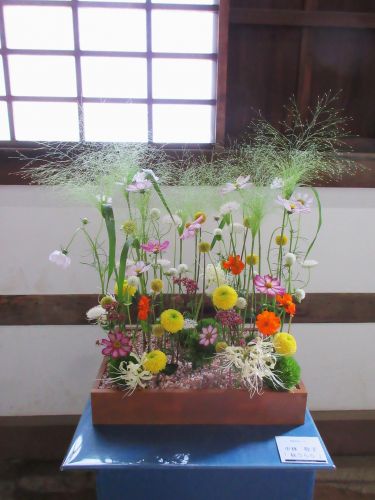 中林 牧子「『秋うらら』」