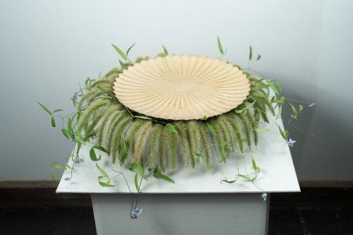 2024年花心論作品 小西拓氏 作品