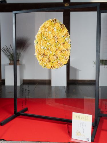 2024年花心論作品 9月『女郎花』(おみなえし)
