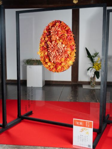 2024年花心論作品 11月『紅葉』