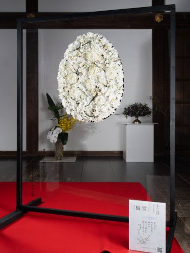 2024年花心論作品 12月『梅 雪』