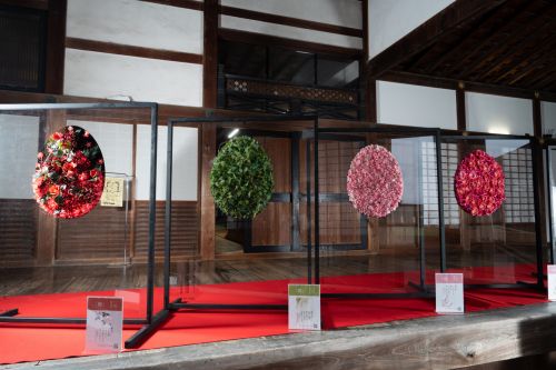 2024年花心論作品 天井画「百花草」と万葉集　1月～4月