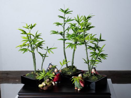 床 サユリ「「竹林の陰でかくれんぼ」」