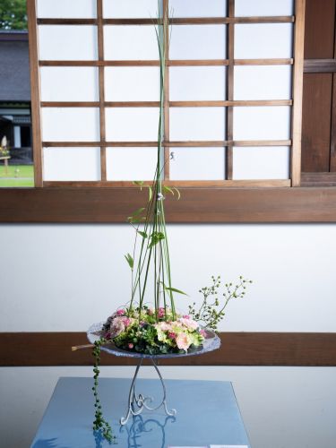 百々 孝子「『lumière～光』」