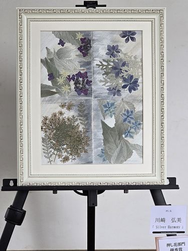 川﨑 弘美「「Silver Harmony」」