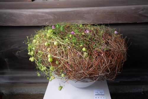 石崎 弥佳「『木漏れ花』」