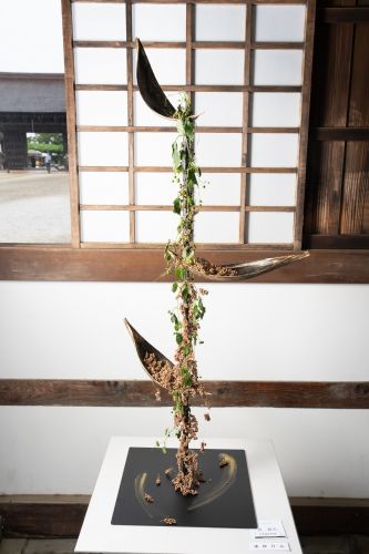 林 親美「『cluster』」