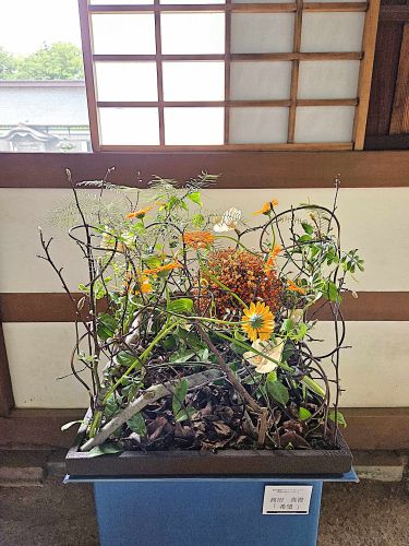 髙田 真澄「『希望』」