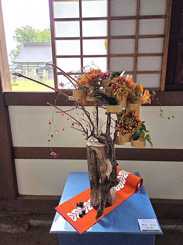 堺井 浩美「『「菊日和」』」