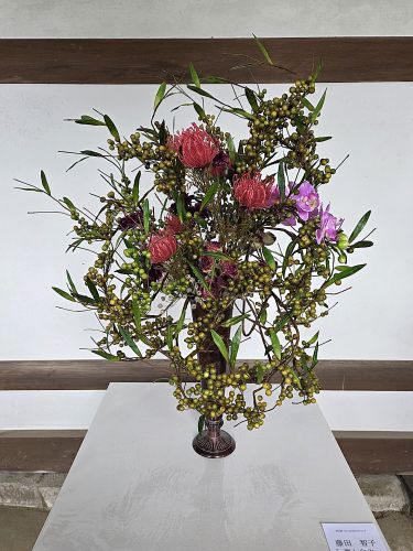 藤田 智子「『夢と自由』」