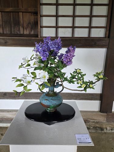 長田 久美子「『夢香るライラック』」