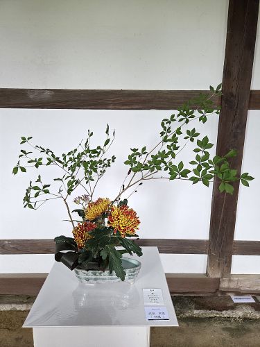 高田 真里「『秋風』」