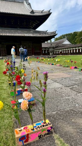 2025花心論作品 『虹咲花』(にじさきばな)