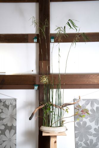 2025花心論作品 金澤忍 デモンストレーション作品4