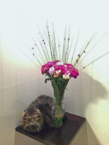 2016年10月　日坂明広先生レッスでンの作品です 魅力的な花束と寿