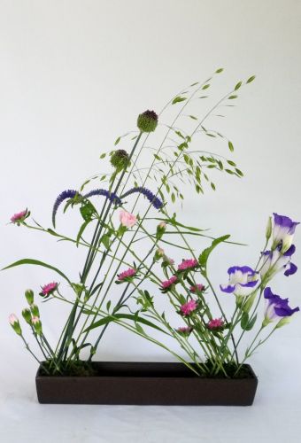夏の草花