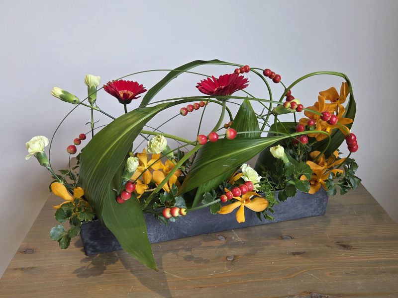 デザイナーズコース