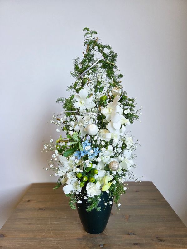 デザイナーズコース