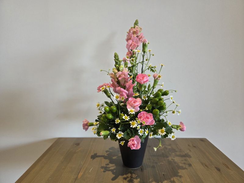 エンジョイコース