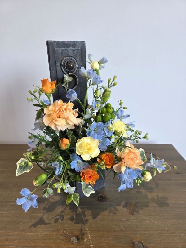 デザイナーズコース