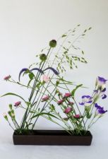 夏の草花