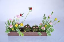 苔玉のような