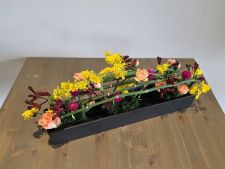 2025年11月第1週の作例 『音符のように』並べる