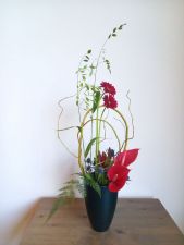 『クールな』個性的な花で