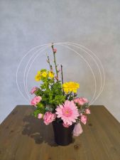 『華やぎ』桃の節句