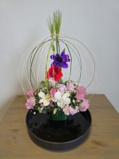 2026年2月第2週の作例 『お祝い花』桃の節句