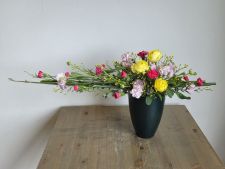 『春爛漫』ホリゾンタル