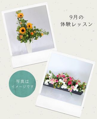 2022-09-01体験レッスンキャンペーン