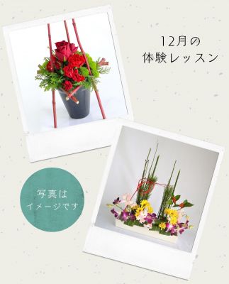 2022-12-01体験レッスンキャンペーン