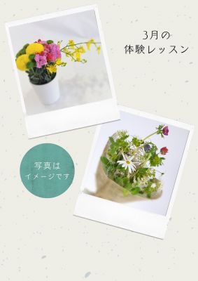 2023-03-01体験レッスンキャンペーン