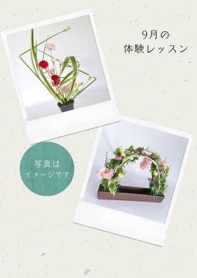 2023-09-01体験レッスンキャンペーン