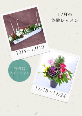 2023-12-01体験レッスンキャンペーン
