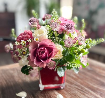 デザイナーズコース体験レッスンキャンペーン